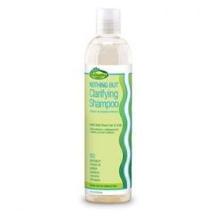 SNF GH NB clarifiant shampoing 12oz.